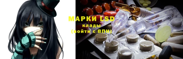 индика Лагань