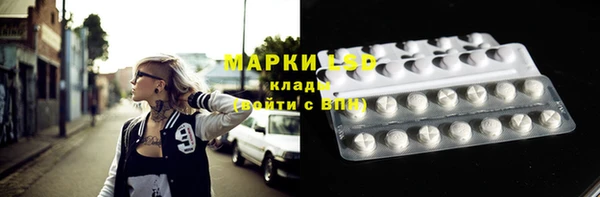 apvp Горнозаводск