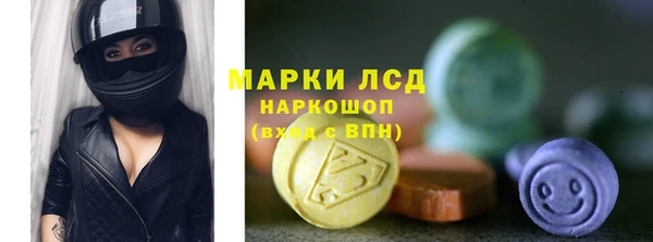 индика Лагань