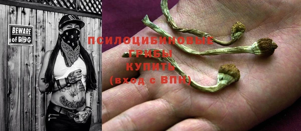 соль ск Горно-Алтайск