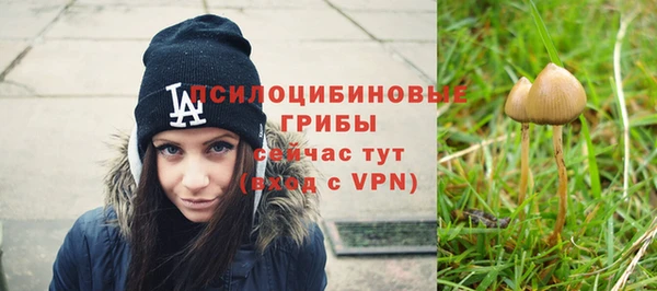 хмурый Ладушкин